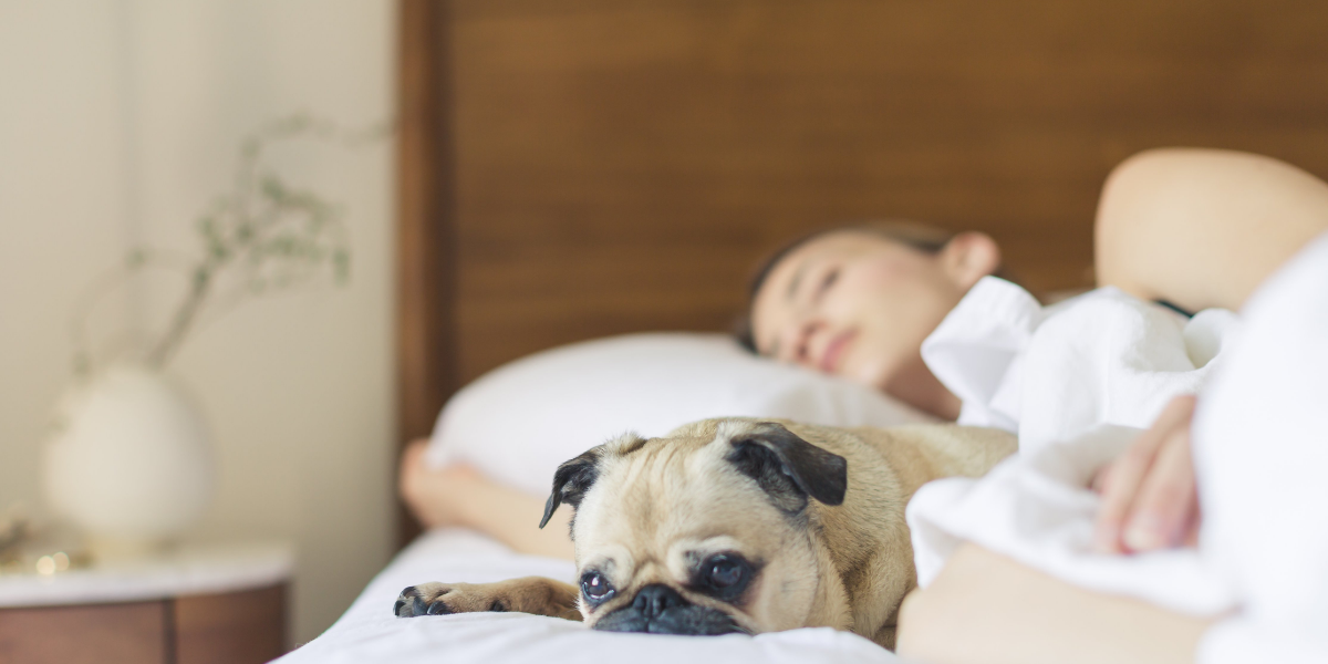 Effective ways to sleep better when dealing with anxiety