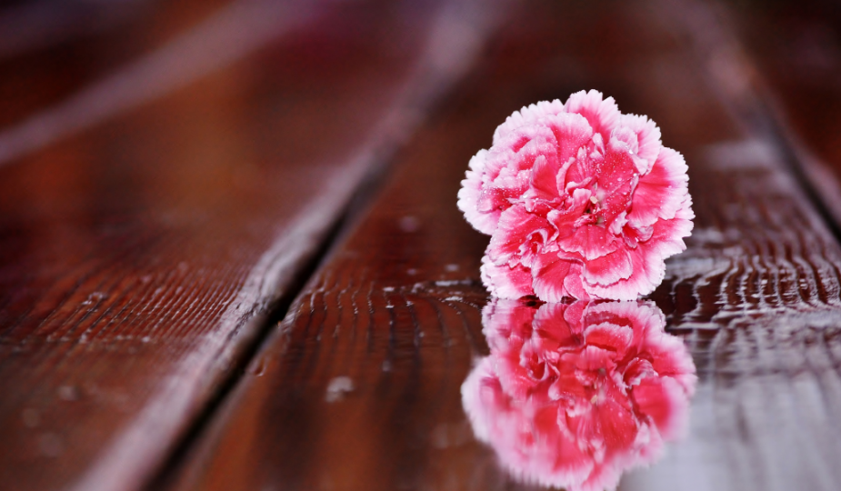 6 things you will regret not doing in life
